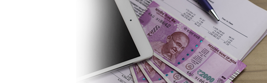 Reimbursement Account Fees & Charges Reimbursement Account Fees & Charges